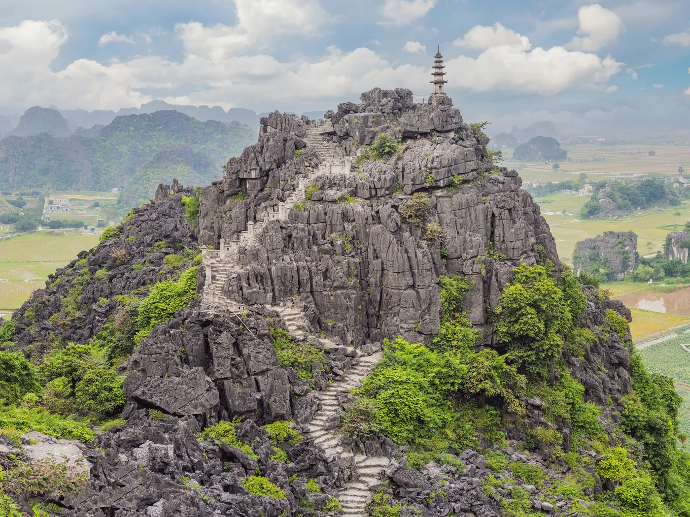 Regular Bus 2